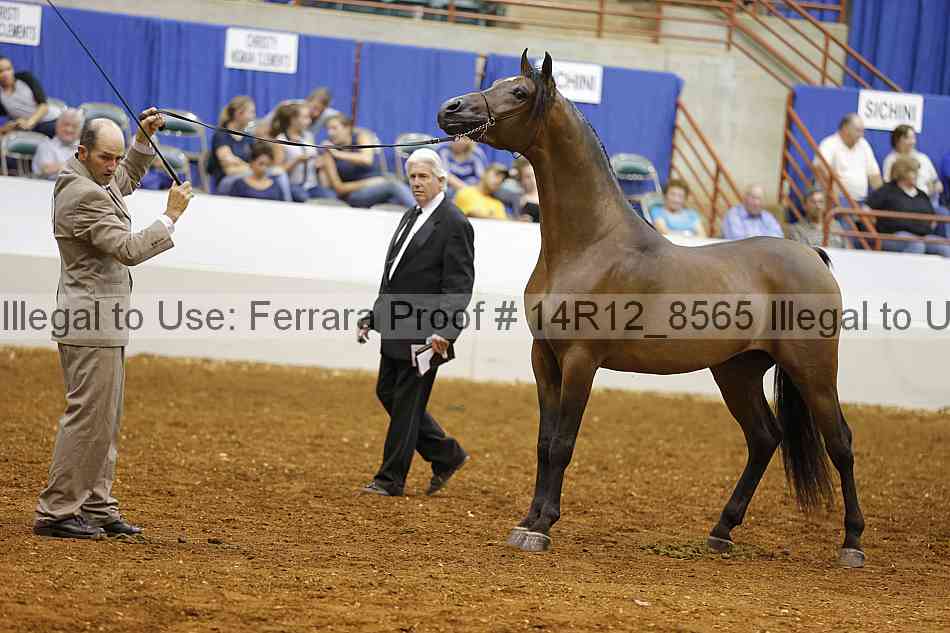 Proof 14r12_8565