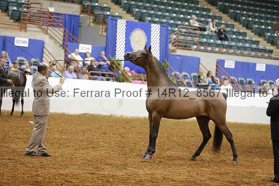 Proof 14r12_8567