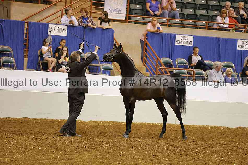 Proof 14r12_8568
