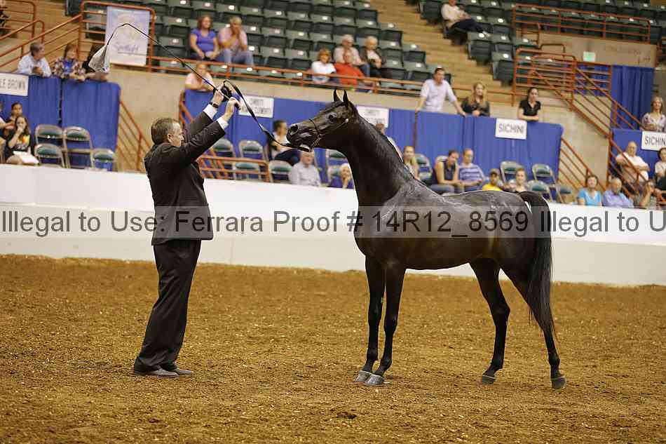 Proof 14r12_8569