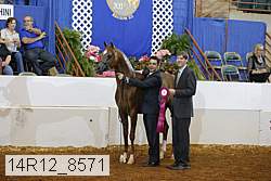 14r12_8571 proof