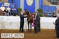 14r12_8574 proof