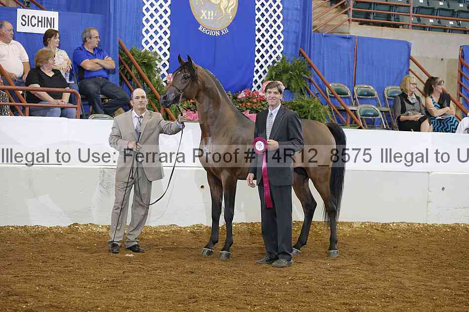 Proof 14r12_8575