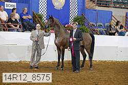 14r12_8575 proof