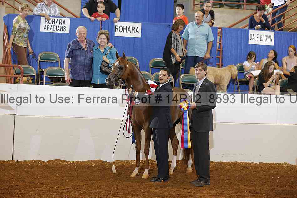 Proof 14r12_8593