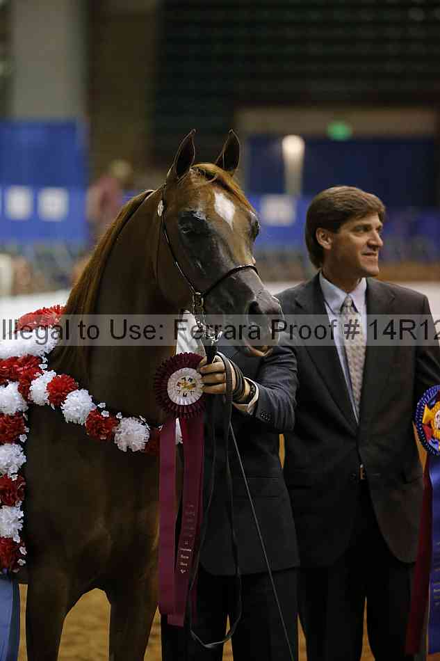 Proof 14r12_8596