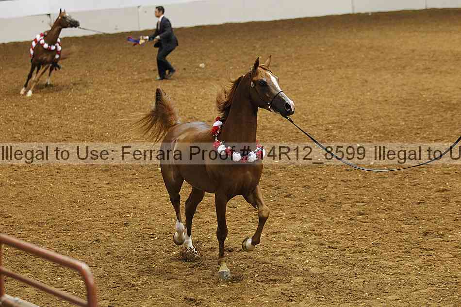 Proof 14r12_8599