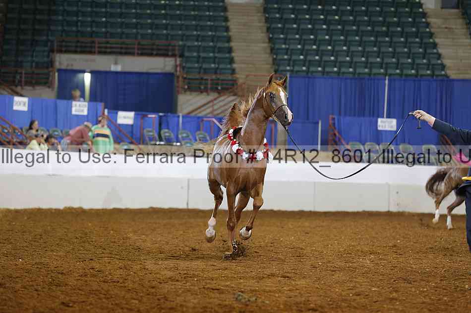 Proof 14r12_8601