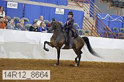 14r12_8664 proof