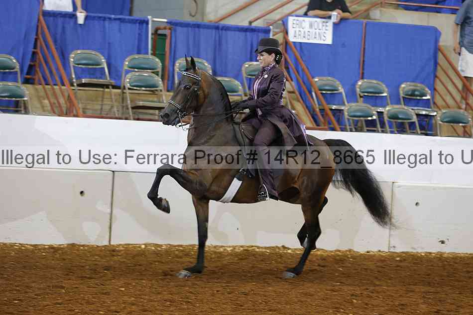 Proof 14r12_8665