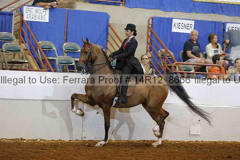 Proof 14r12_8666