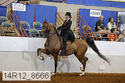 14r12_8666 proof