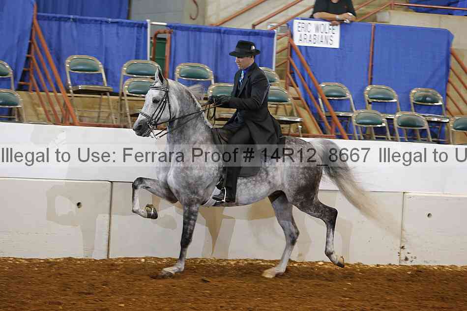 Proof 14r12_8667