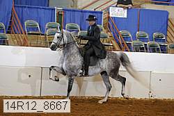 14r12_8667 proof