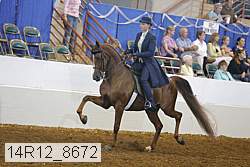 14r12_8672 proof