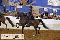 14r12_8674 proof