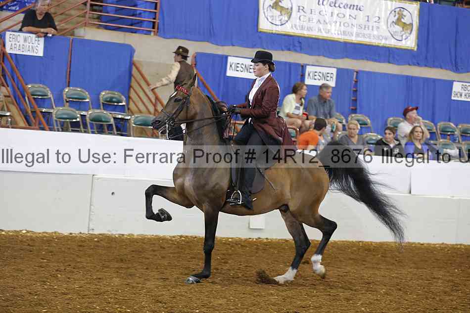 Proof 14r12_8676