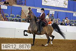 14r12_8676 proof