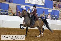 14r12_8683 proof