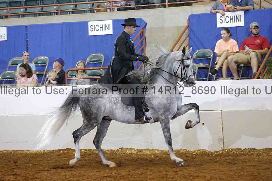 Proof 14r12_8690