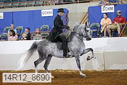 14r12_8690 proof