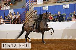 14r12_8691 proof