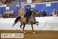 14r12_8696 proof
