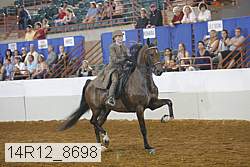 14r12_8698 proof