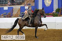 14r12_8699 proof