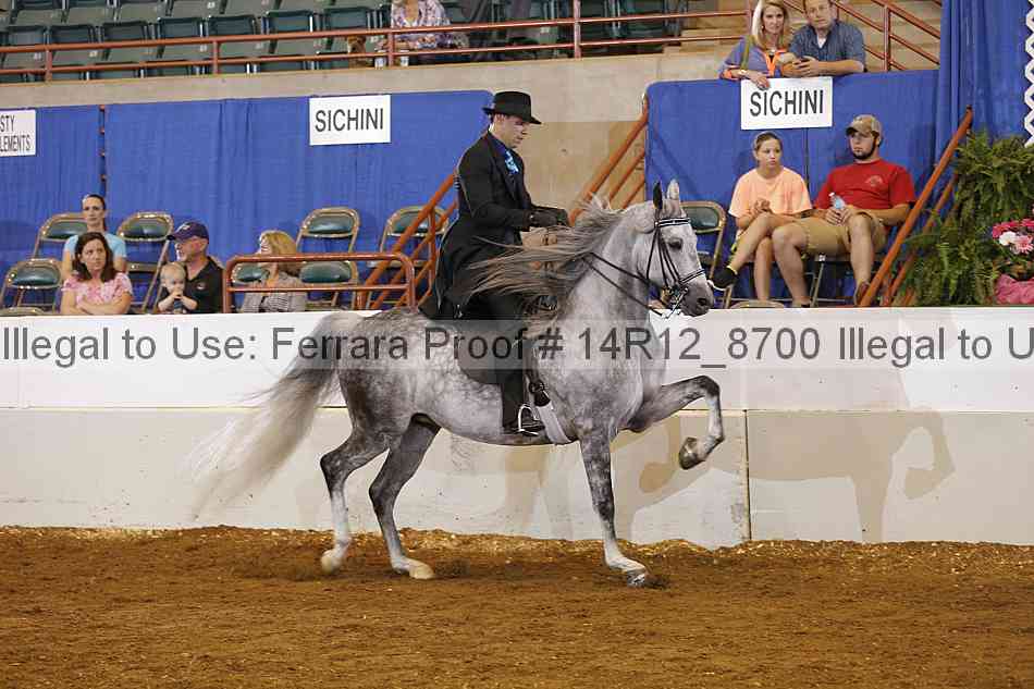 Proof 14r12_8700