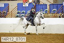 14r12_8701 proof