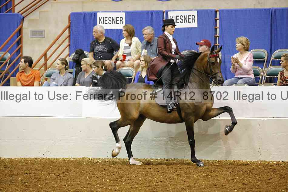 Proof 14r12_8702
