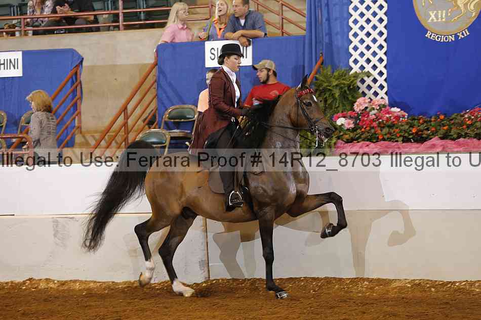 Proof 14r12_8703