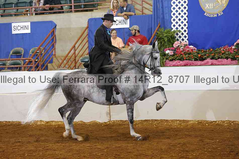 Proof 14r12_8707