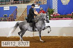 14r12_8707 proof