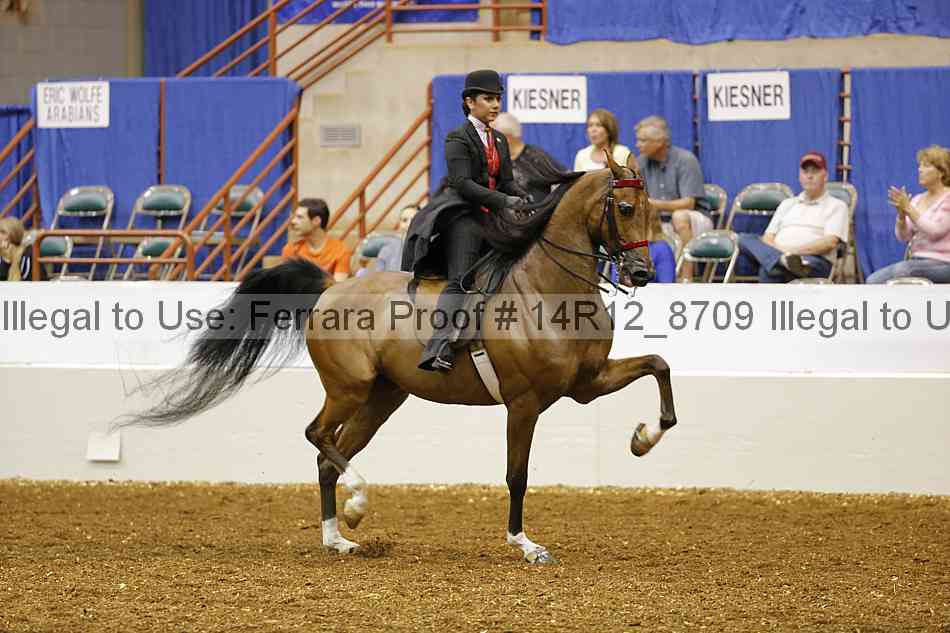 Proof 14r12_8709