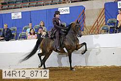 14r12_8712 proof
