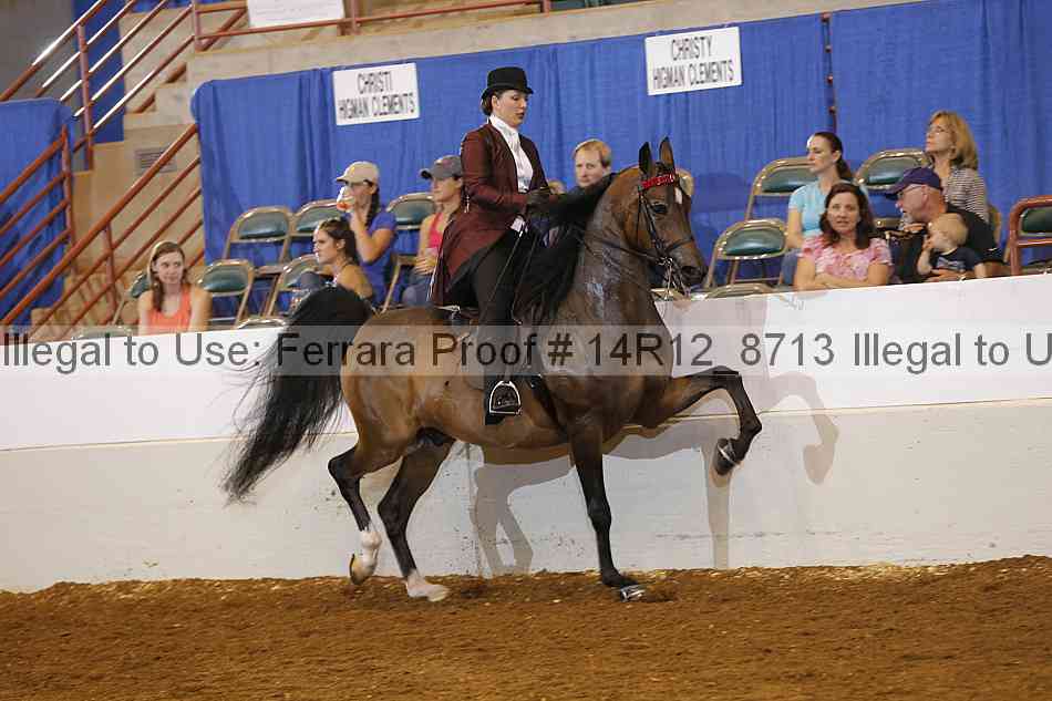 Proof 14r12_8713