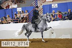 14r12_8714 proof