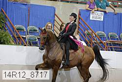 14r12_8717 proof