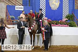 14r12_8719 proof