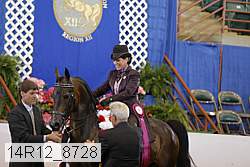14r12_8728 proof