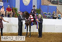 14r12_8731 proof