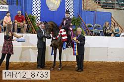 14r12_8733 proof