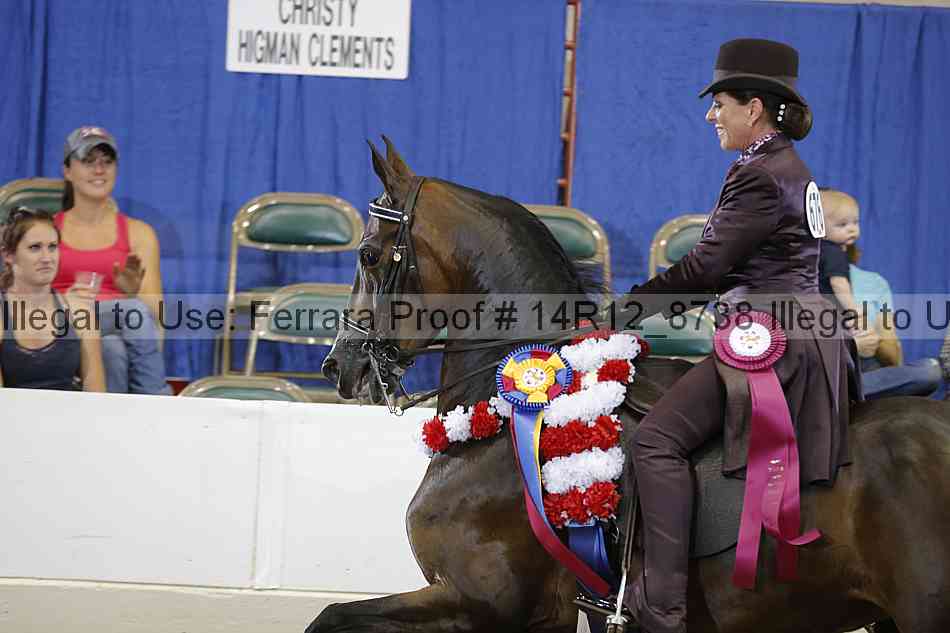 Proof 14r12_8738