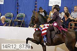 14r12_8739 proof