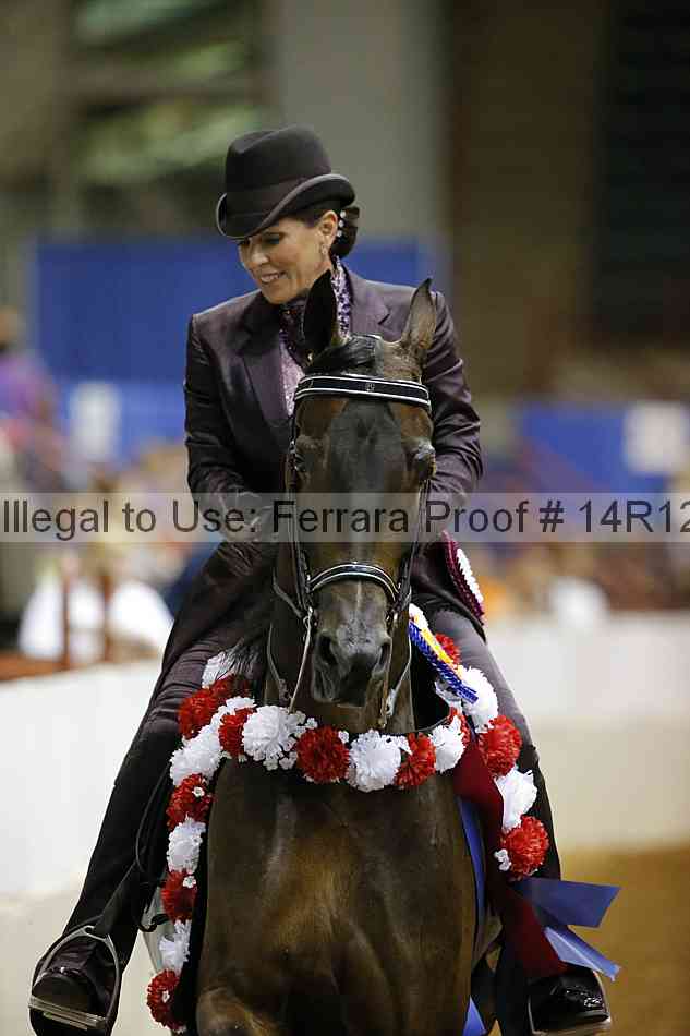 Proof 14r12_8740