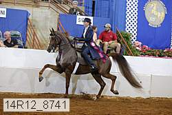 14r12_8741 proof