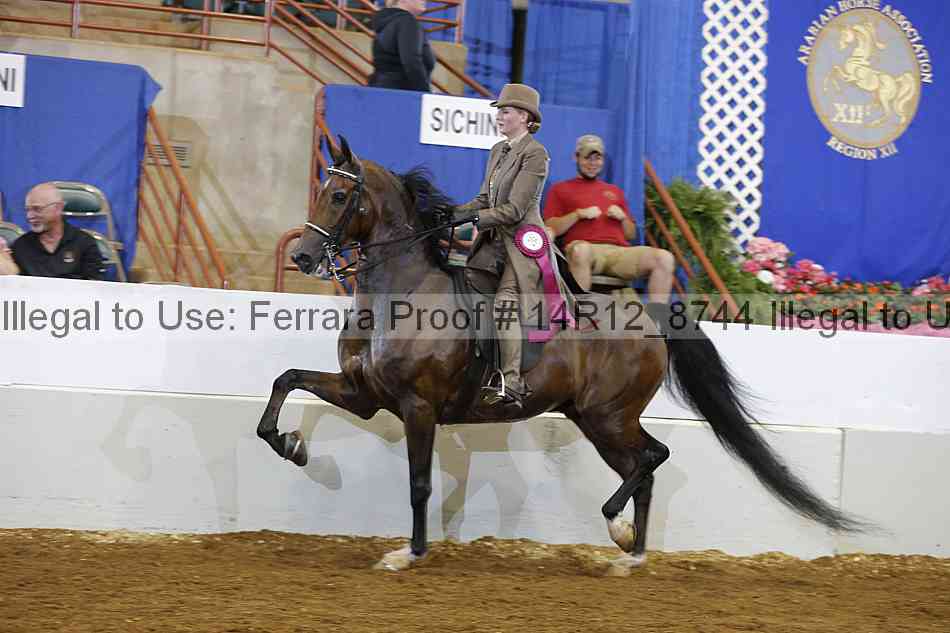 Proof 14r12_8744