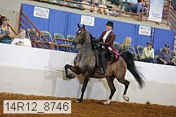 14r12_8746 proof